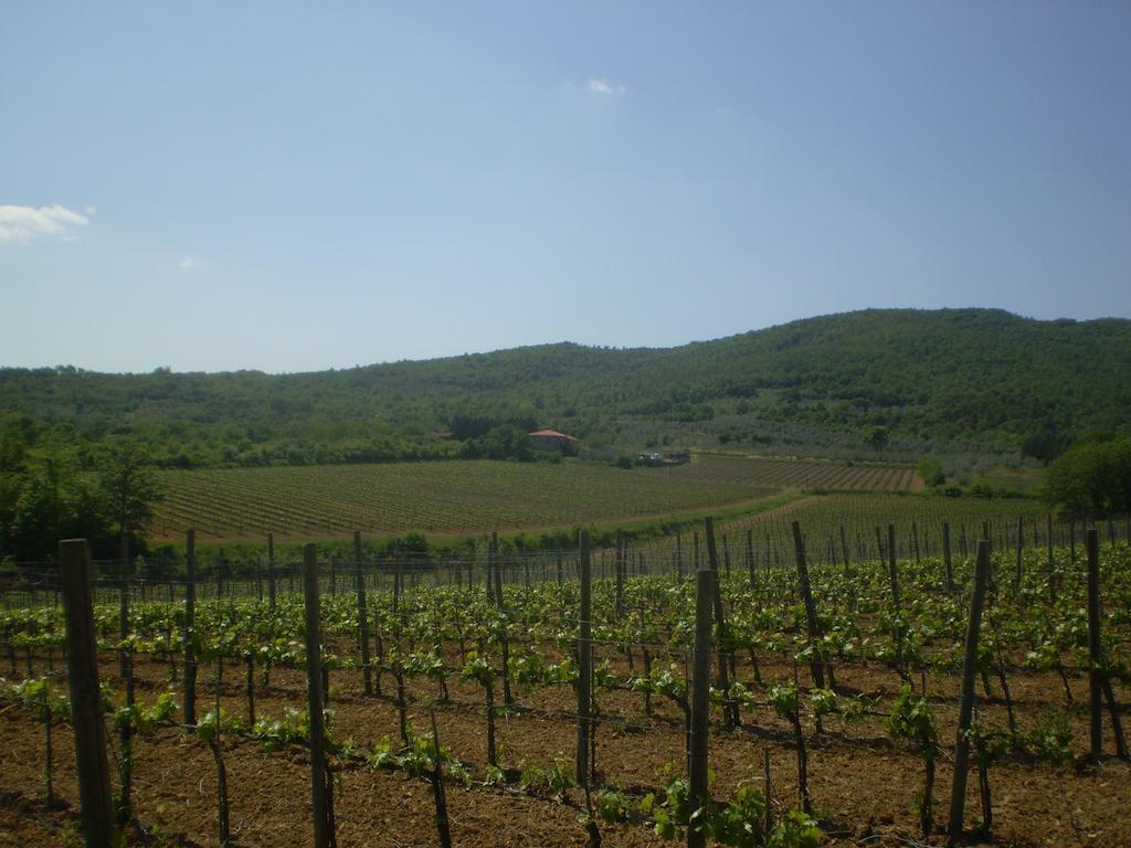 Agriturismo La Cella Villa Arezzo Exterior photo
